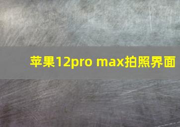 苹果12pro max拍照界面